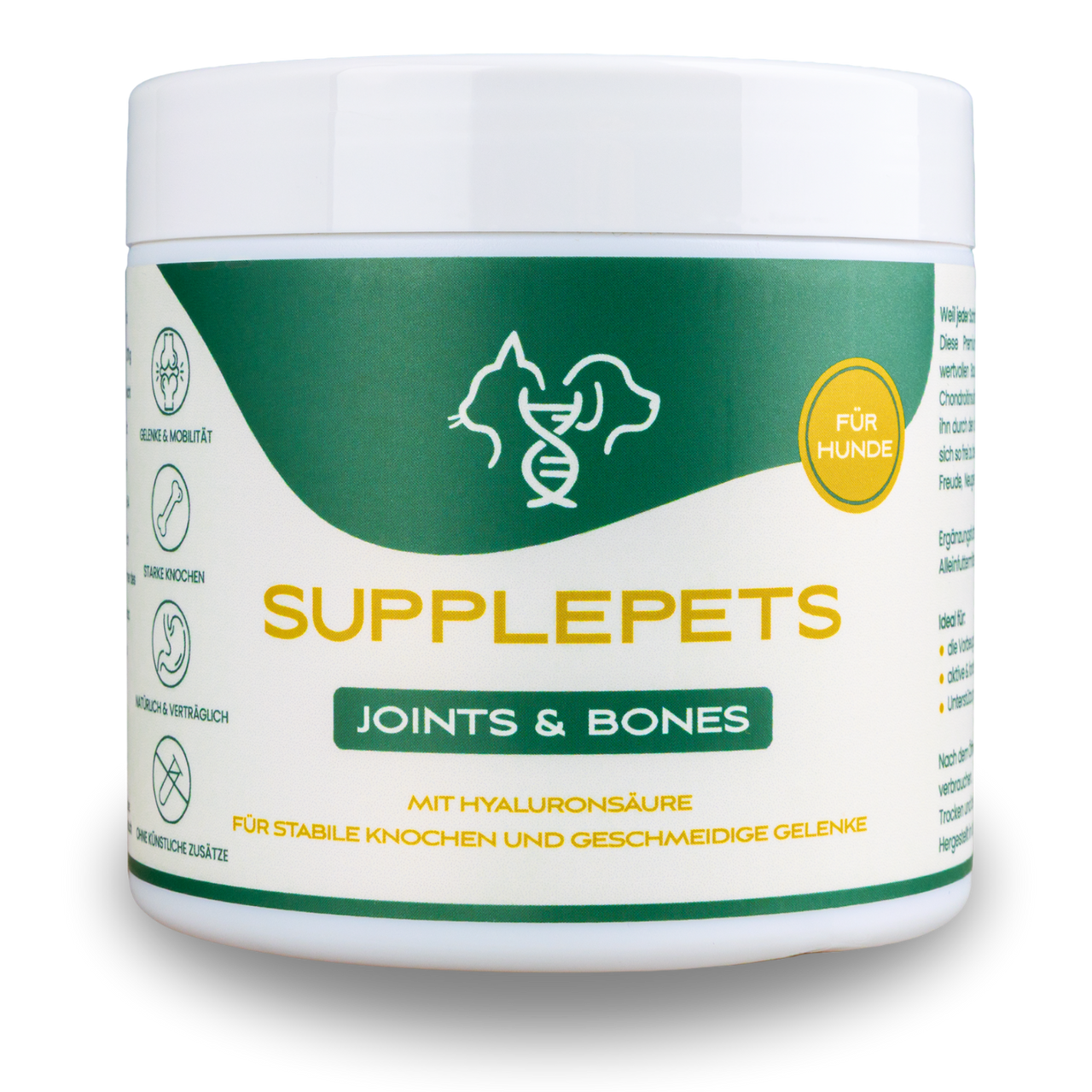 Joints & Bones